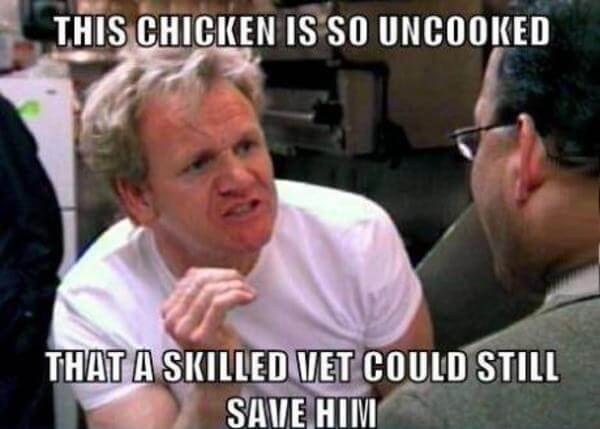 gordon ramsay memes - This Chicken Is So Uncooked That A Skilled Vet Could Still Save Him