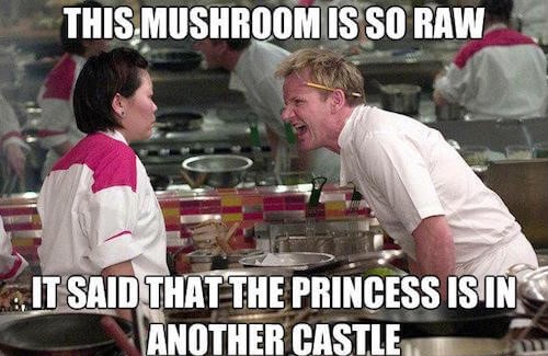 insulting but funny memes - This Mushroom Is So Raw It Said That The Princess Is In Another Castle