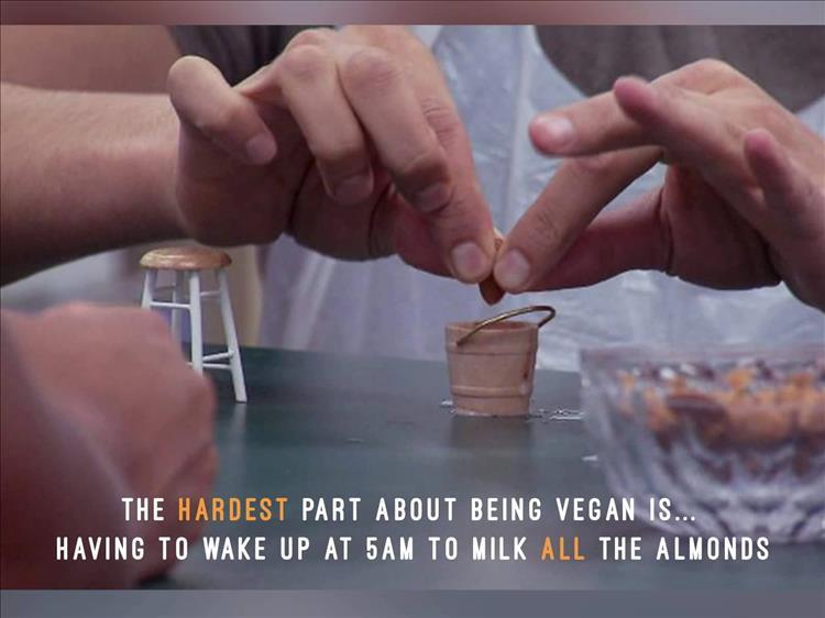 milk the almonds meme - The Hardest Part About Being Vegan Is.. Having To Wake Up At 5AM To Milk All The Almonds