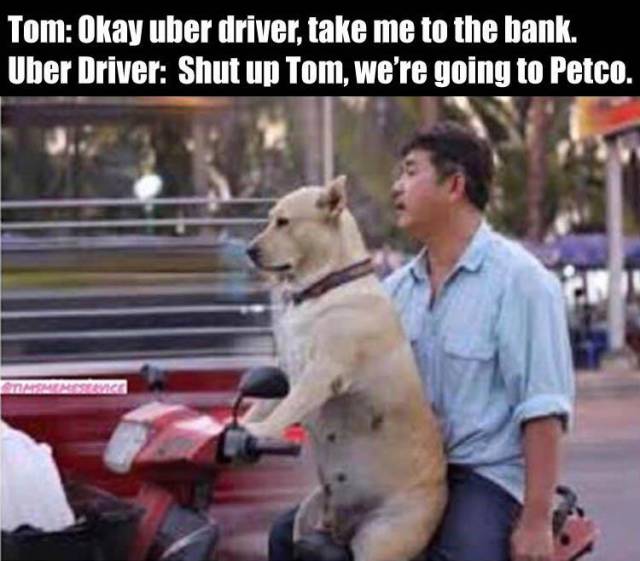 funny unexplainable - Tom Okay uber driver, take me to the bank. Uber Driver Shut up Tom, we're going to Petco. Tops Okay taler drive