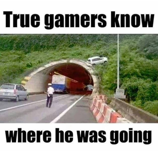 true gaming memes - True gamers know where he was going