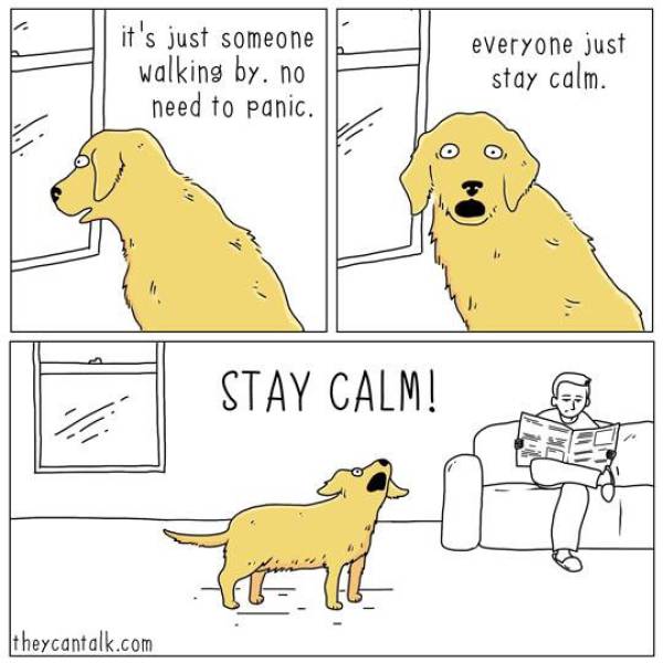 they can talk stay calm - it's just someone walking by, no need to panic. everyone just stay calm. 0 0 Stay Calm theycantalk.com