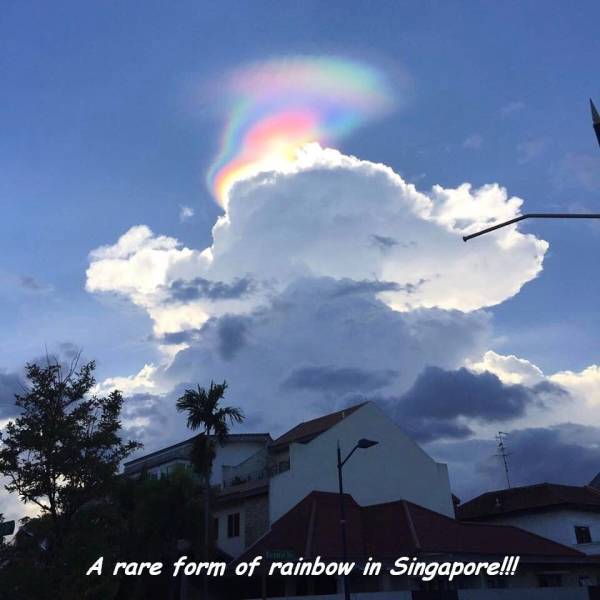 random pic sky - A rare form of rainbow in Singapore!!!