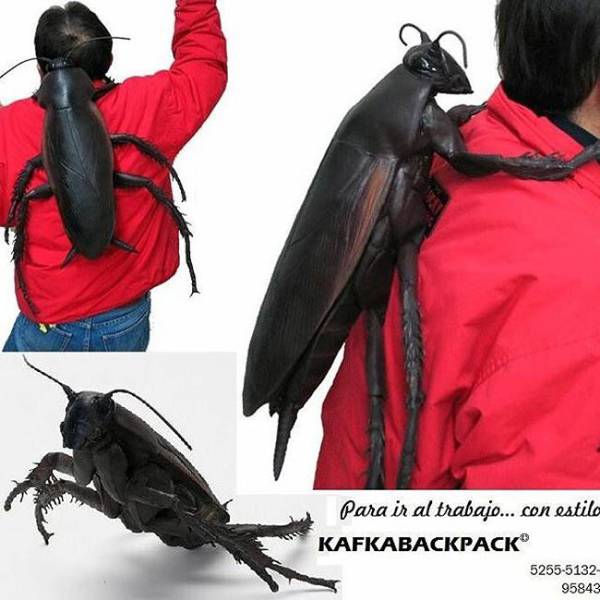 random pic cockroach backpack