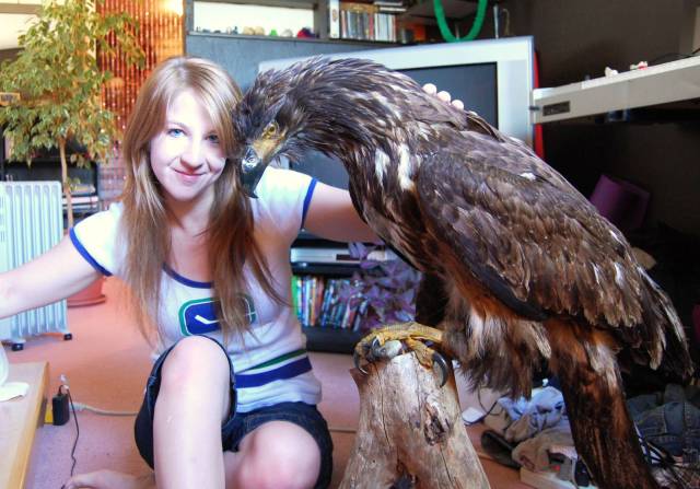 random pic german imperial eagle size