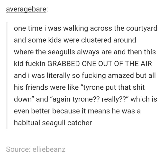 document - averagebare one time i was walking across the courtyard and some kids were clustered around where the seagulls always are and then this kid fuckin Grabbed One Out Of The Air and i was literally so fucking amazed but all his friends were tyrone 