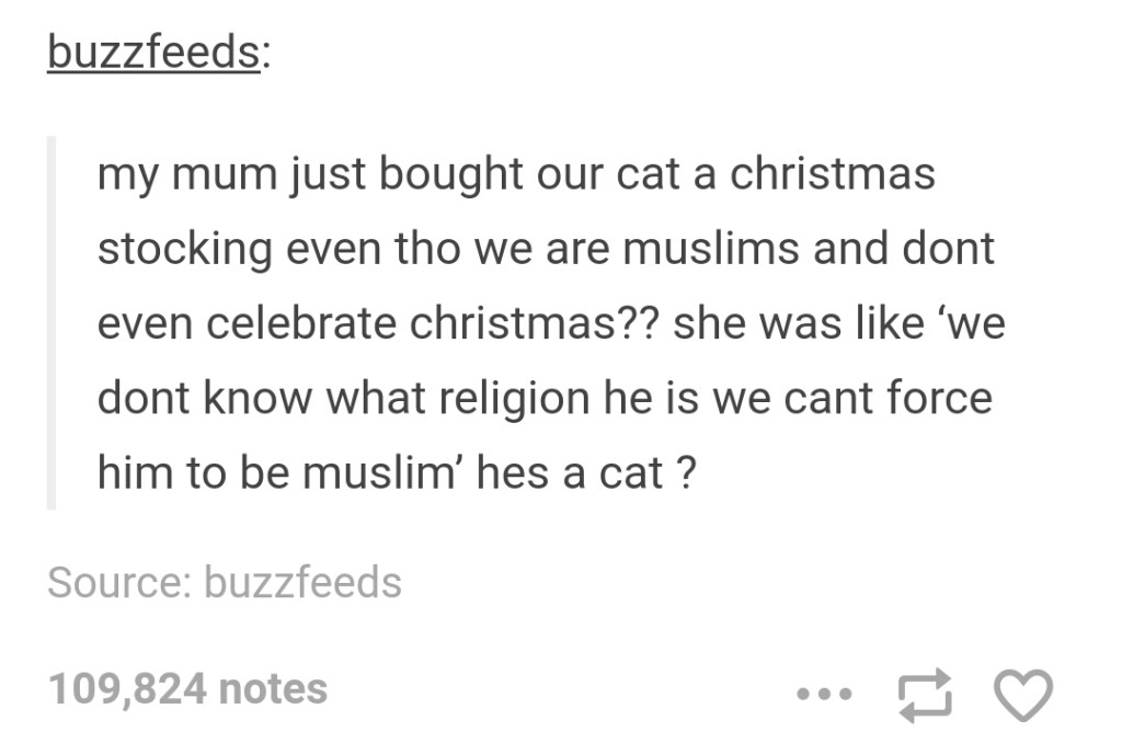 jokes tumblr posts - buzzfeeds my mum just bought our cat a christmas stocking even tho we are muslims and dont even celebrate christmas?? she was 'we dont know what religion he is we cant force him to be muslim' hes a cat ? Source buzzfeeds 109,824 notes