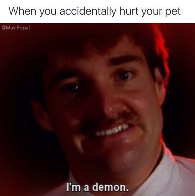 you accidentally hurt your pet - When you accidentally hurt your pet I'm a demon.