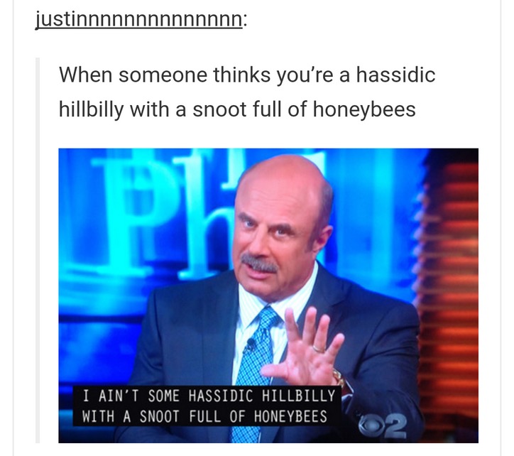 presentation - justinnnnnnnnnnnnnn When someone thinks you're a hassidic hillbilly with a snoot full of honeybees I Ain'T Some Hassidic Hillbilly With A Snoot Full Of Honeybees,