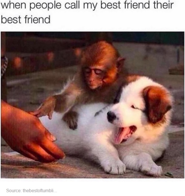 please sir no touching - when people call my best friend their best friend Source thebestoftumbli...