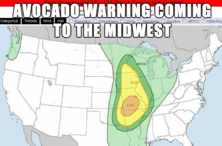 work memes - work meme about midwesterners eating avocado