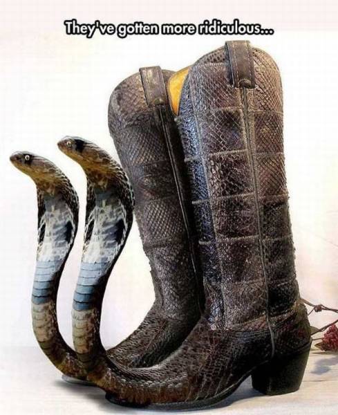 snake with boots - They've gotten more ridiculous...