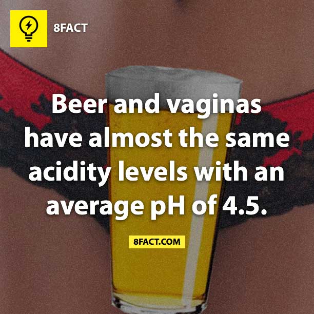 19 Interesting Facts For You To Ponder!
