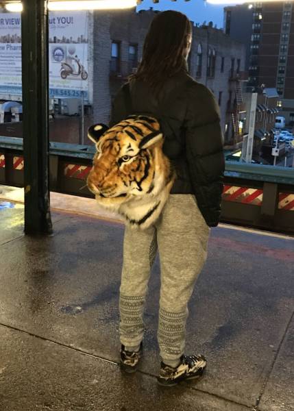 Cool pic of someone wearing a tiger head shaped back pack.