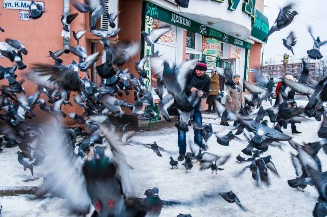 Cool pics - Dude scares the pigeons to a blur.