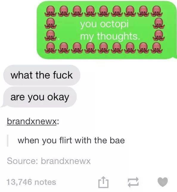 you octopi my thoughts - Narmars you octopi my thoughts. what the fuck are you okay brandxnewx when you flirt with the bae Source brandxnewx 13,746 notes