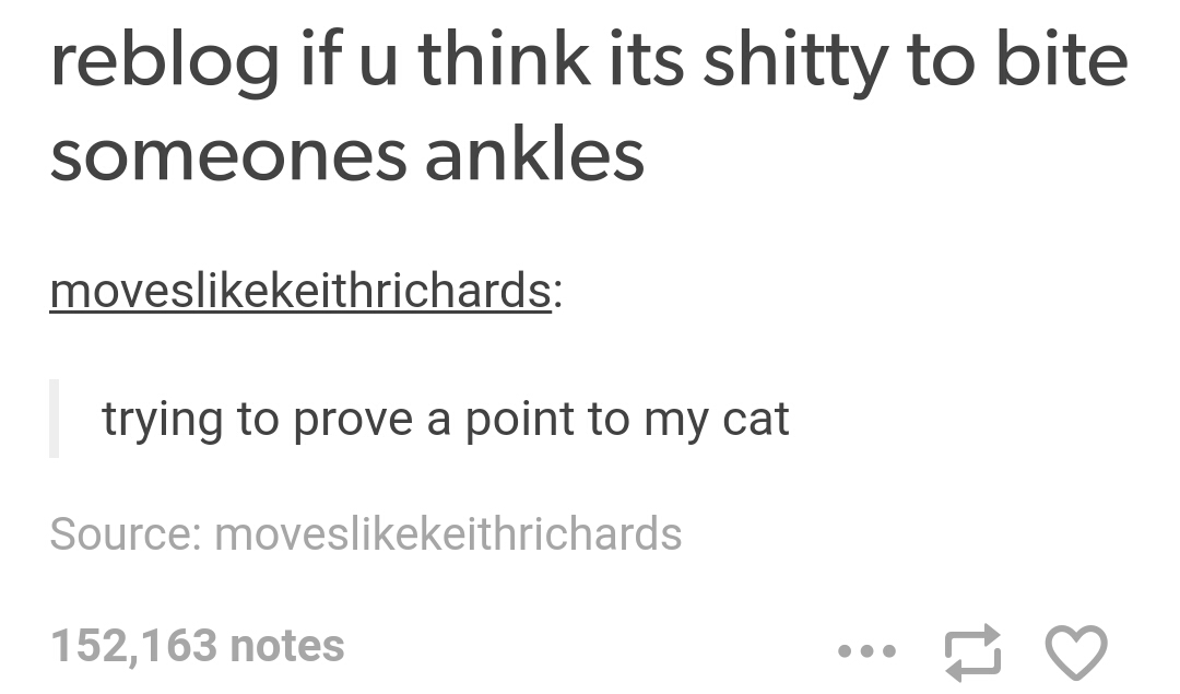 things slytherins say - reblog if u think its shitty to bite someones ankles moveskeithrichards trying to prove a point to my cat Source moveskeithrichards 152,163 notes ...