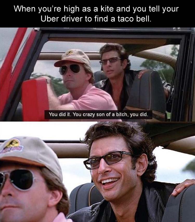 crazy son of a bitch did - When you're high as a kite and you tell your Uber driver to find a taco bell. You did it. You crazy son of a bitch, you did.