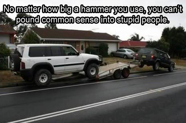 jeep cherokee pulling trailer - No matter how big a hammer you use, you can't . pound common sense into stupid people.