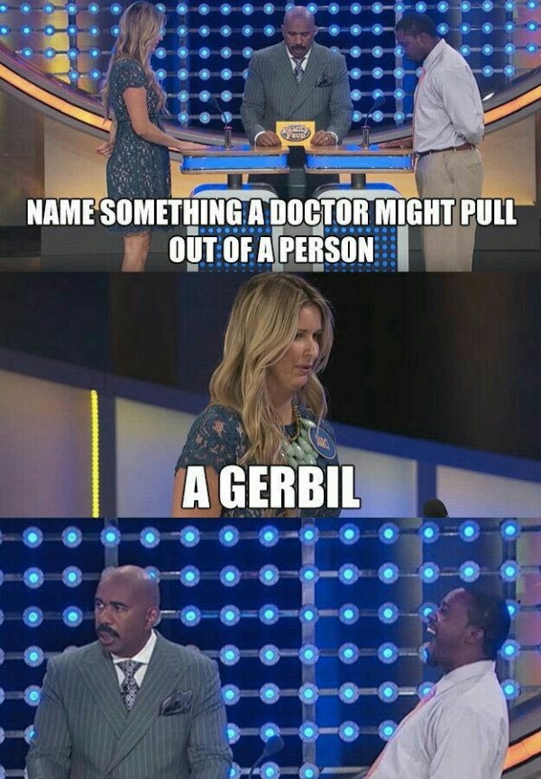 funny family feud - Name Something A Doctor Might Pull Out Of A Person A Gerbil