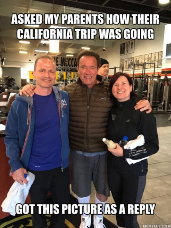 muscle - Asked My Parents How Their California Trip Was Going Ladyurdu Got This Picture As A Memeful Com