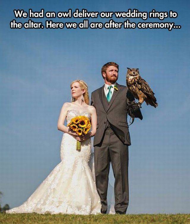 Wedding - We had an owl deliver our wedding rings to the altar. Here we all are after the ceremony....