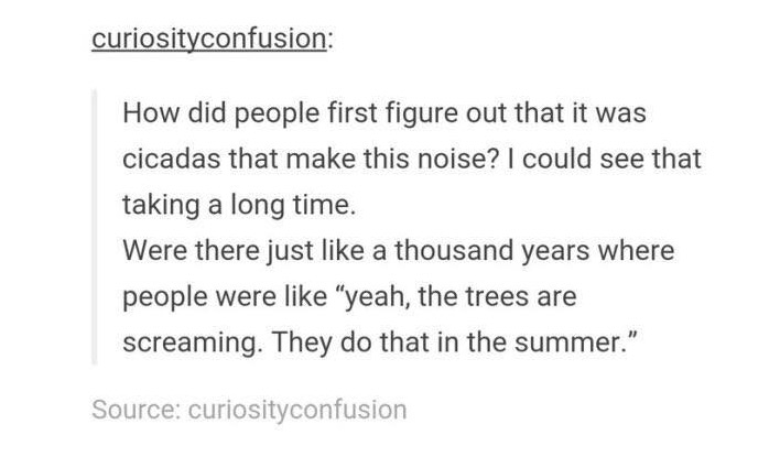 tumblr - document - curiosityconfusion How did people first figure out that it was cicadas that make this noise? I could see that taking a long time. Were there just a thousand years where people were "yeah, the trees are screaming. They do that in the su