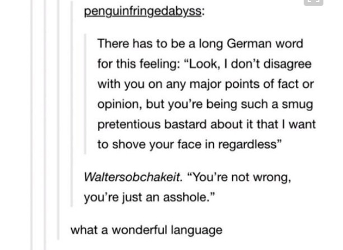 tumblr - german word for you re not wrong you re just an asshole - penguinfringedabyss There has to be a long German word for this feeling Look, I don't disagree with you on any major points of factor opinion, but you're being such a smug pretentious bast