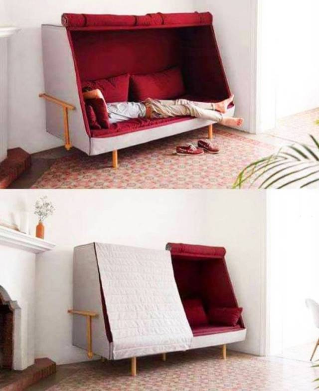 cool pic bed that turns into a sofa