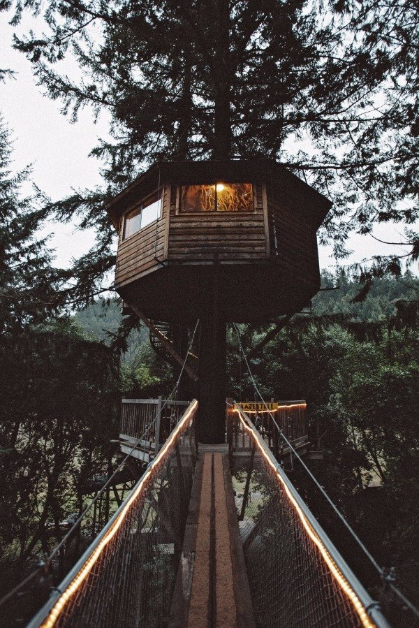 cool Tree house