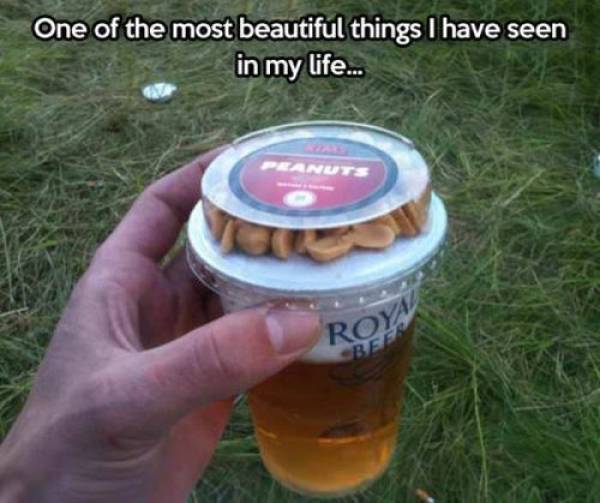 Meme of a cup of beer and a top full of nuts being the most beautiful thing he has ever seen.