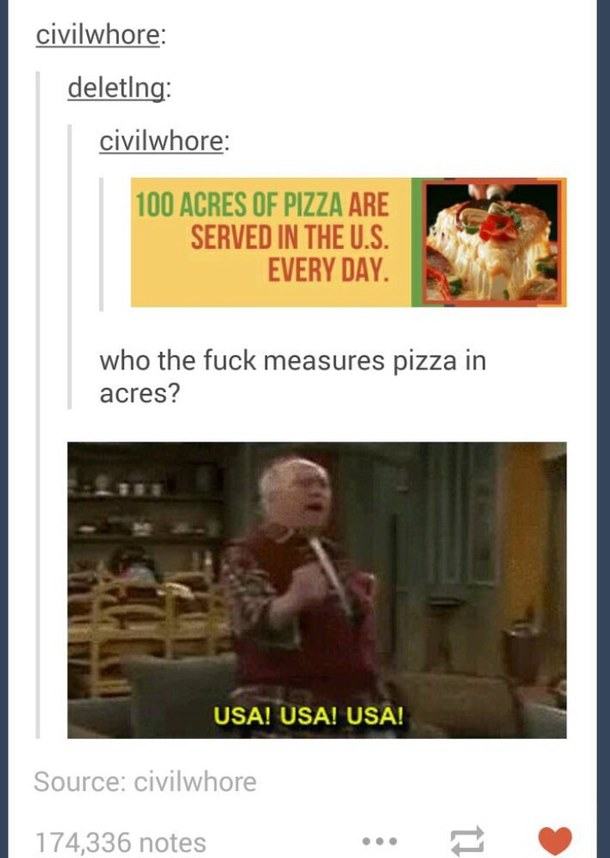 tumblr - usa usa usa meme - civilwhore deleting civilwhore 100 Acres Of Pizza Are Served In The U.S. Every Day. who the fuck measures pizza in acres? Usa! Usa! Usa! Source civilwhore 174,336 notes