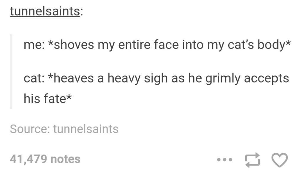 tumblr - social story - tunnelsaints me shoves my entire face into my cats body cat heaves a heavy sigh as he grimly accepts his fate Source tunnelsaints 41,479 notes