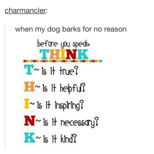 tumblr - number - charmancler when my dog barks for no reason before you specks Think T~ is it true? H~ is it hepful? In is it inspiring? Nis it necessary? K~ is it kind?