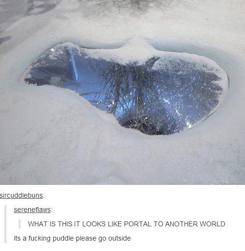 tumblr - portal funny - sircuddlebuns sereneflaws What Is This It Looks Portal To Another World its a fucking puddle please go outside