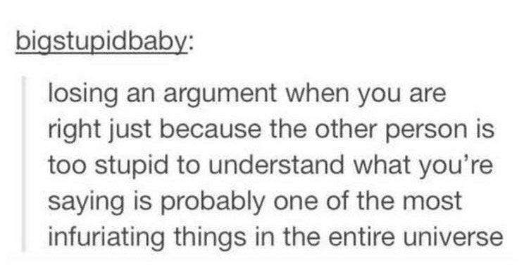 tumblr - handwriting - bigstupidbaby losing an argument when you are right just because the other person is too stupid to understand what you're saying is probably one of the most infuriating things in the entire universe