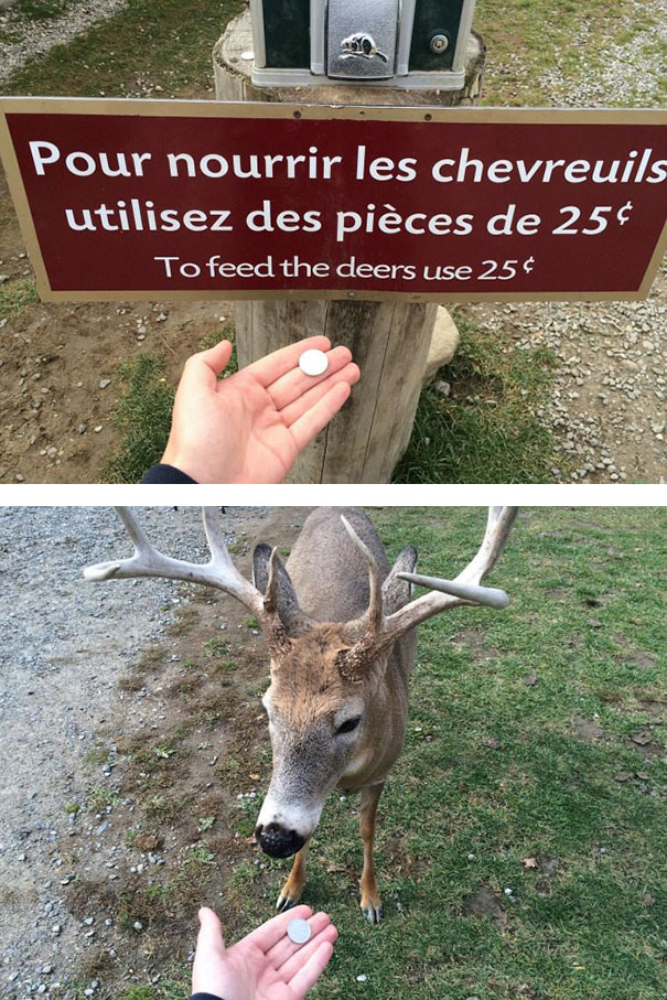 23 People Who Took Instructions Way Too Literally