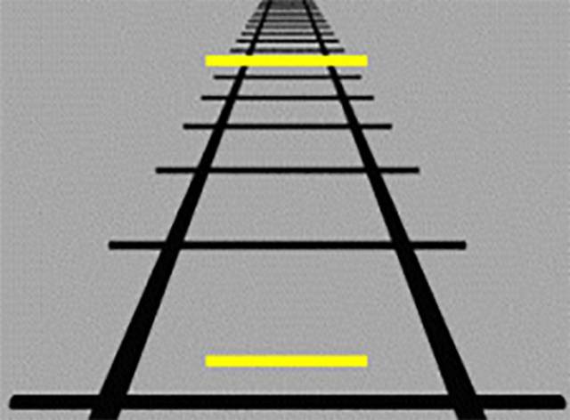 Yellow Lines are the same length