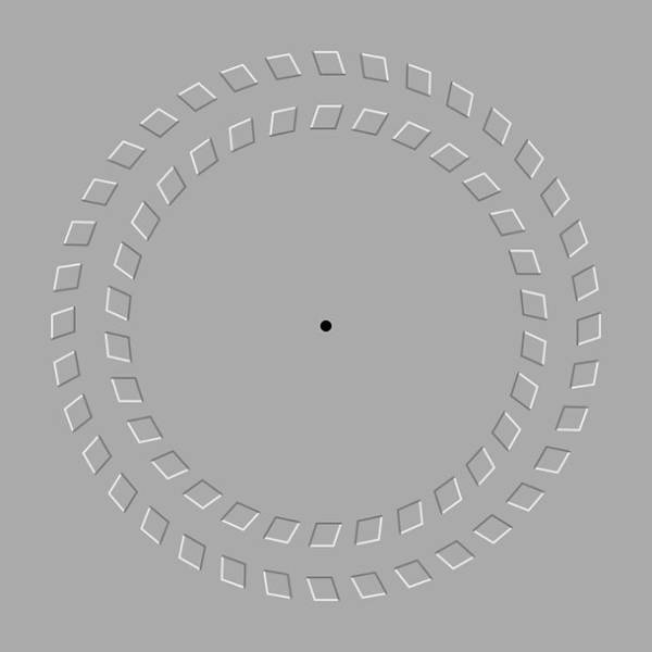 Moving Circles-Stare at the black dot and move your head back and forth. It’ll look like the circles are moving.