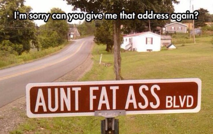 funny street name signs - I'm sorry can you give me that address again? Aunt Fat Ass Blvd