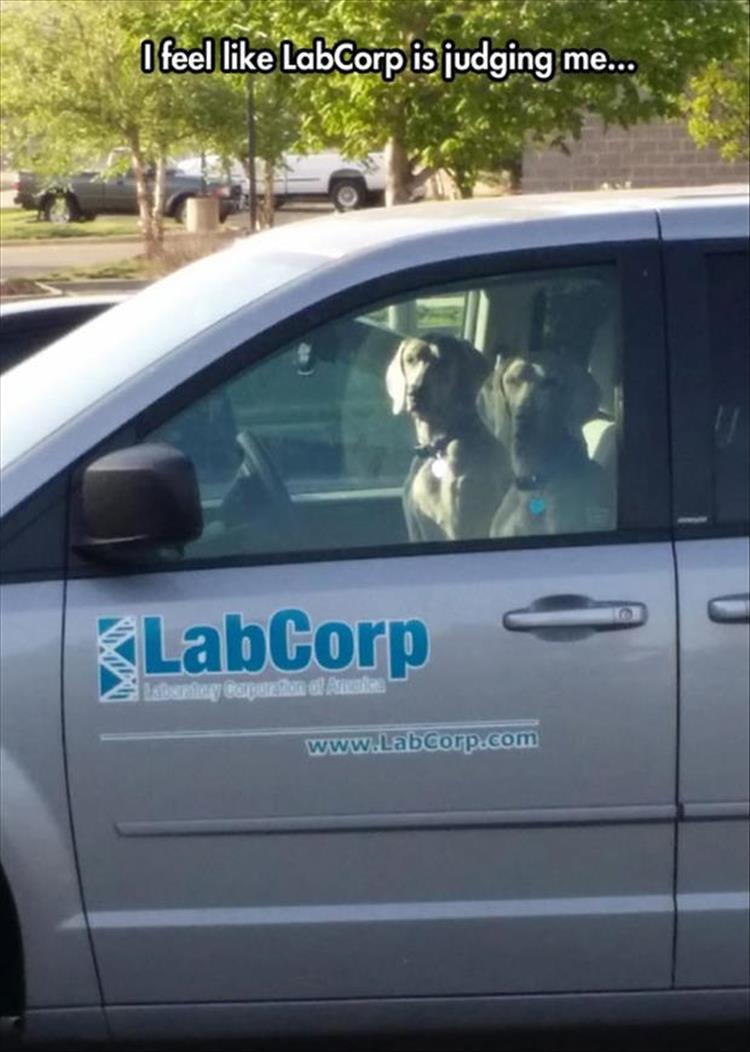 labcorp car - I feel LabCorp is judging me... LabCorp Barber