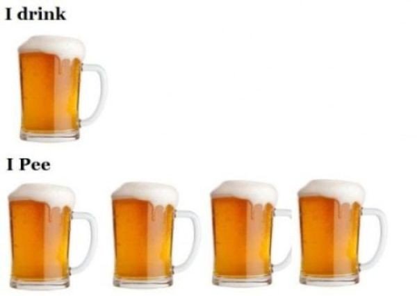 beer mug - I drink I Pee