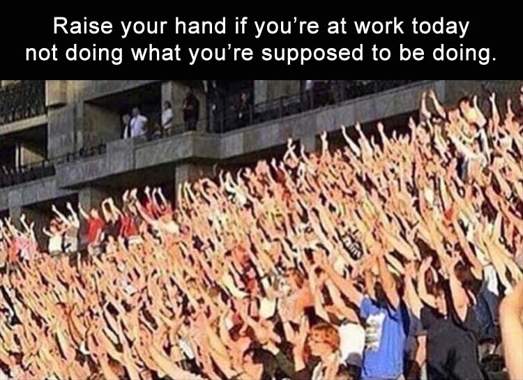 everyone raising their hands - Raise your hand if you're at work today not doing what you're supposed to be doing.