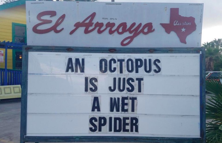 Sign pointing out that an octopus is just a wet spider.
