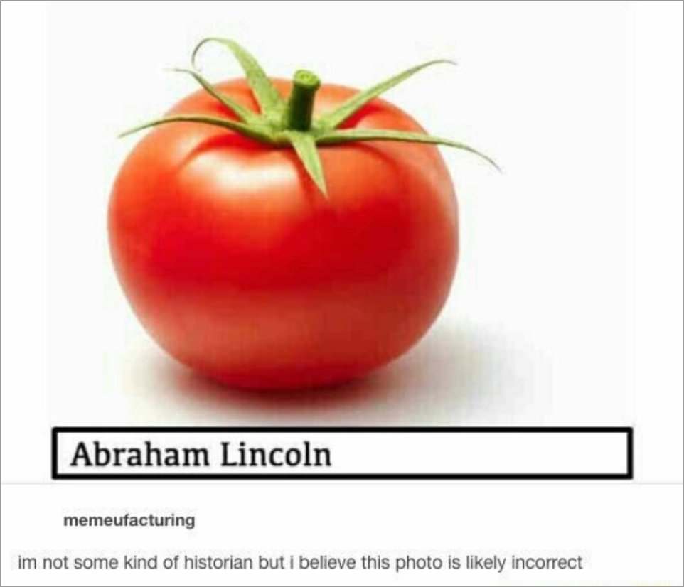 Picture of a tomato that is tagged as Abraham Lincoln