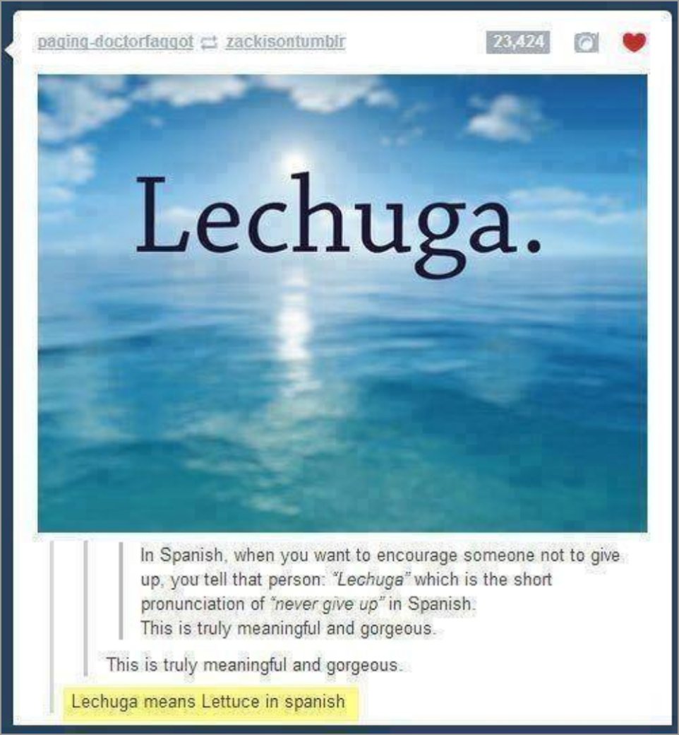 Inspirational meme about the word Lechuga over a sunset at sea and someone breaks it to him that it just means Lettuce.