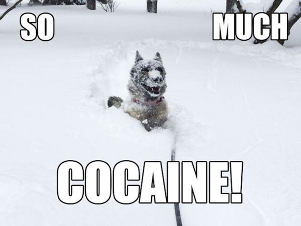 random pic snow - 50 M Uch Cocaine!