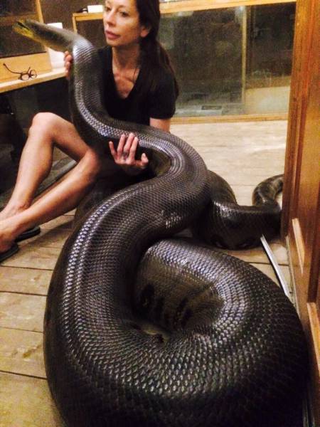 Woman holding massive snake