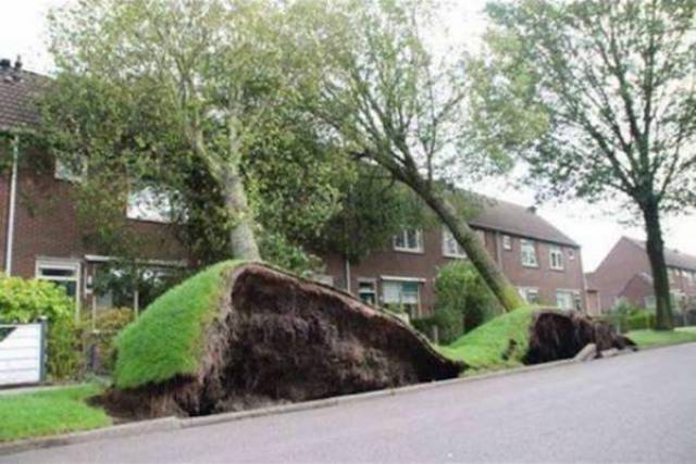 42 Times The Wind Did Whatever It Wanted