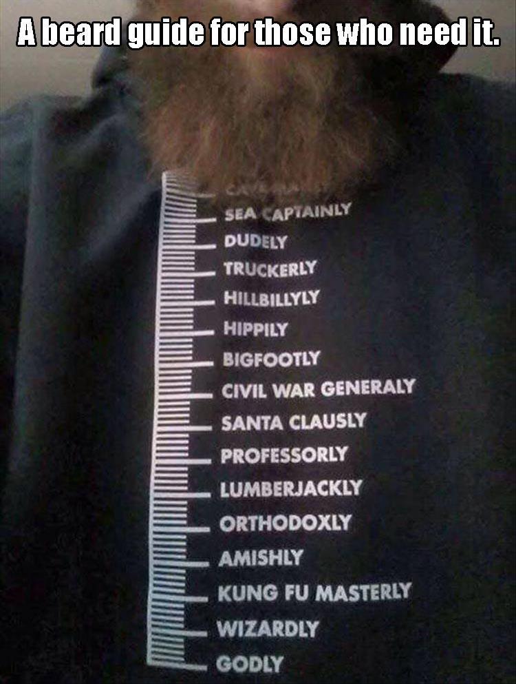 Beard - A beard guide for those who need it. Sea Captainly Dudely Truckerly Hillbillyly Hippily Bigfootly Civil War Generaly Santa Clausly Professorly Lumberjackly Orthodoxly Amishly Kung Fu Masterly Wizardly Godly